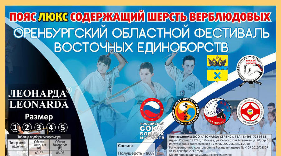 Оренбургский областной фестиваль восточных единоборств, 17-19 октября 2018 г.